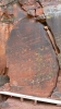 PICTURES/V-Bar-V Heritage Site/t_Petroglyphs17.JPG